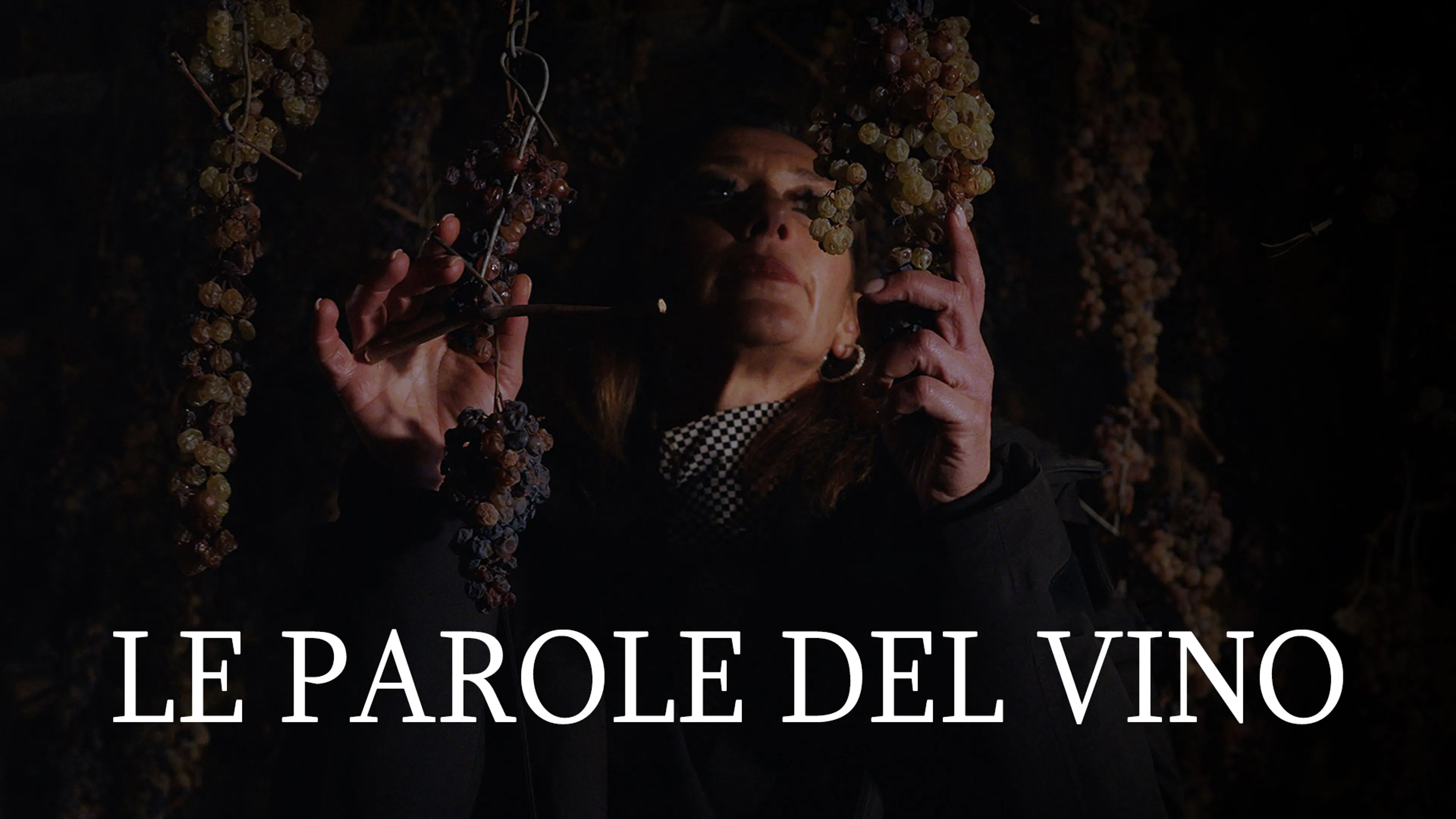 Le Parole del Vino poster